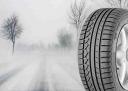 Winterreifen Conti TS810